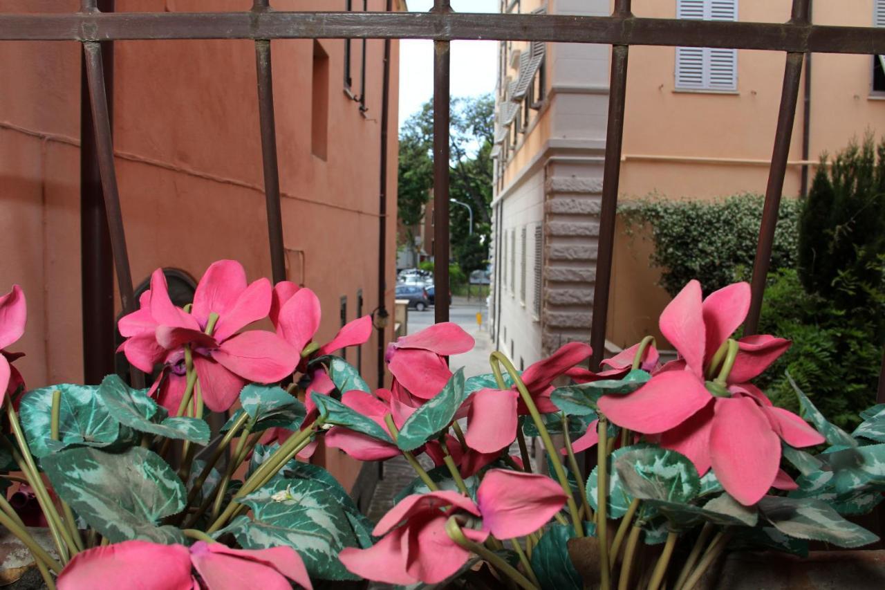Gemini Camere E Suites Grosseto Exterior photo